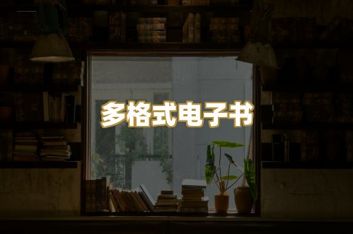 多格式电子书